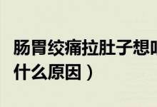 腸胃絞痛拉肚子想吐（肚子絞痛拉稀惡心想吐什么原因）