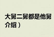 大舅二舅都是他舅（關(guān)于大舅二舅都是他舅的介紹）
