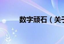 數(shù)字頑石（關(guān)于數(shù)字頑石的介紹）