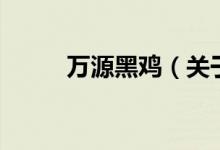 萬源黑雞（關(guān)于萬源黑雞的介紹）