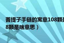 菩提子手鏈的寓意108顆是什么意思（菩提子手鏈的寓意108顆是啥意思）