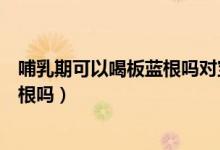 哺乳期可以喝板藍(lán)根嗎對(duì)寶寶有影響嗎（哺乳期可以喝板藍(lán)根嗎）