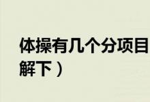 體操有幾個分項目,分別為什么（快來這里了解下）