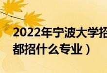 2022年寧波大學(xué)招生計(jì)劃及招生人數(shù)（各省都招什么專業(yè)）