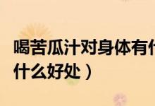 喝苦瓜汁對(duì)身體有什么好處（長(zhǎng)期喝苦瓜汁有什么好處）