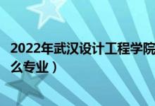 2022年武漢設(shè)計工程學(xué)院招生計劃及招生人數(shù)（各省都招什么專業(yè)）