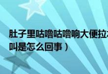 肚子里咕嚕咕嚕響大便拉水是怎么回事（大便拉水肚子咕咕叫是怎么回事）
