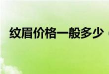 紋眉價(jià)格一般多少（紋眉價(jià)格一般是多少）