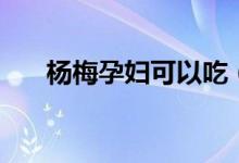 楊梅孕婦可以吃（楊梅孕婦可以吃嗎）
