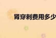 腎穿刺費(fèi)用多少（腎穿刺費(fèi)用多少）