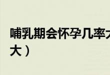 哺乳期會懷孕幾率大嗎（哺乳期會懷孕幾率多大）