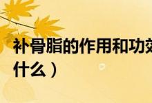 補(bǔ)骨脂的作用和功效（補(bǔ)骨脂的作用和功效有什么）