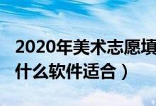 2020年美術(shù)志愿填報（2022美術(shù)生志愿填報什么軟件適合）