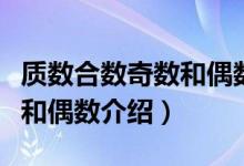 質(zhì)數(shù)合數(shù)奇數(shù)和偶數(shù)等的概念（質(zhì)數(shù)合數(shù)奇數(shù)和偶數(shù)介紹）