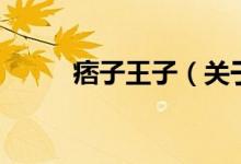 痞子王子（關(guān)于痞子王子的介紹）