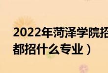 2022年菏澤學(xué)院招生計(jì)劃及招生人數(shù)（各省都招什么專(zhuān)業(yè)）