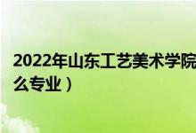 2022年山東工藝美術(shù)學(xué)院招生計(jì)劃及招生人數(shù)（各省都招什么專業(yè)）