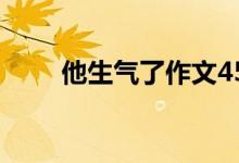他生氣了作文450字（范文請查收）