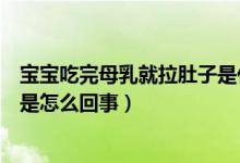 寶寶吃完母乳就拉肚子是什么情況（寶寶一吃母乳就拉肚子是怎么回事）