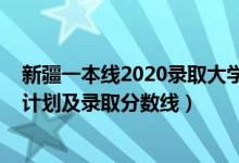 新疆一本線2020錄取大學(xué)（2022年雙一流大學(xué)在新疆招生計劃及錄取分數(shù)線）