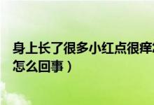 身上長了很多小紅點(diǎn)很癢怎么啦（身上長了很多小紅點(diǎn)很癢怎么回事）