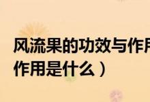 風(fēng)流果的功效與作用泡水喝（風(fēng)流果的功效與作用是什么）