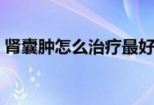 腎囊腫怎么治療最好（腎囊腫怎么治療最好）