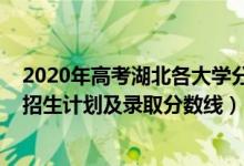 2020年高考湖北各大學(xué)分?jǐn)?shù)線（2022年雙一流大學(xué)在湖北招生計劃及錄取分?jǐn)?shù)線）