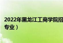 2022年黑龍江工商學(xué)院招生計劃及招生人數(shù)（各省都招什么專業(yè)）