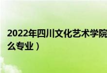 2022年四川文化藝術(shù)學(xué)院招生計(jì)劃及招生人數(shù)（各省都招什么專業(yè)）
