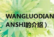 WANGLUODIANSHI（關(guān)于WANGLUODIANSHI的介紹）