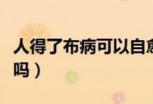 人得了布病可以自愈嗎（人得了布病可以自愈嗎）