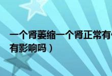 一個(gè)腎萎縮一個(gè)腎正常有什么癥狀（一個(gè)腎萎縮一個(gè)腎正常有影響嗎）