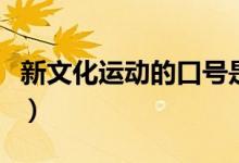 新文化運動的口號是什么（新文化運動的口號）