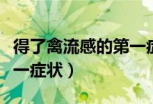 得了禽流感的第一癥狀鴨子（得了禽流感的第一癥狀）