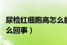 尿檢紅細胞高怎么能降下來（尿檢紅細胞高怎么回事）