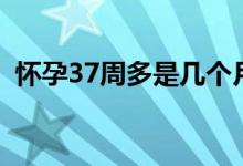 懷孕37周多是幾個月（懷孕37周是幾個月）