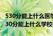 530分能上什么醫(yī)學(xué)院（2022生物醫(yī)學(xué)工程530分能上什么學(xué)校）