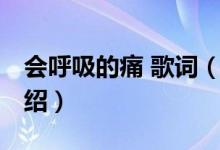 會(huì)呼吸的痛 歌詞（關(guān)于會(huì)呼吸的痛 歌詞的介紹）