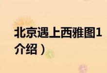 北京遇上西雅圖1（關(guān)于北京遇上西雅圖1的介紹）