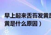 早上起來舌苔發(fā)黃是什么病（早上起來舌苔發(fā)黃是什么原因）
