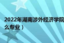 2022年湖南涉外經(jīng)濟學院招生計劃及招生人數(shù)（各省都招什么專業(yè)）