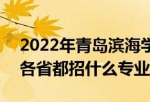 2022年青島濱海學(xué)院招生計(jì)劃及招生人數(shù)（各省都招什么專業(yè)）
