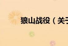 狼山戰(zhàn)役（關(guān)于狼山戰(zhàn)役的介紹）