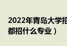 2022年青島大學(xué)招生計(jì)劃及招生人數(shù)（各省都招什么專業(yè)）