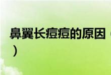 鼻翼長痘痘的原因（鼻翼長痘痘的原因有哪些）