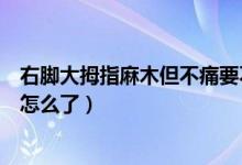 右腳大拇指麻木但不痛要不要緊（左腳大拇指麻木但不痛是怎么了）