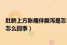 肚臍上方脹痛伴腹瀉是怎么回事呢（肚臍上方疼痛還腹瀉是怎么回事）