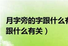 月字旁的字跟什么有關系一年級（月字旁的字跟什么有關）
