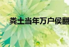 糞土當年萬戶侯翻譯（糞土當年萬戶侯）